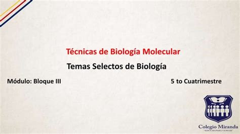 Tecnicas De Bilogia Molecular Ppt