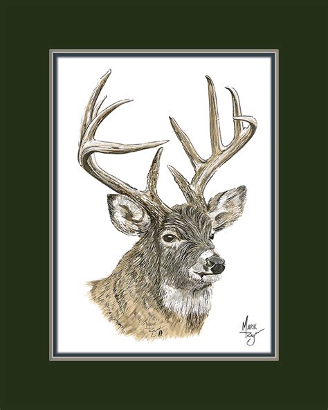 White Tail Deer Buck C815833 999 Wildlife Art