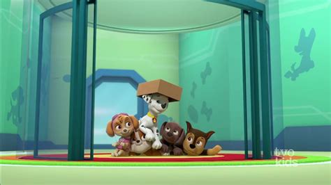 Marshall Pup Fanatic A New Episode Of Paw Patrol Aired In Canada