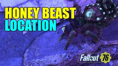 Fallout Where To Find Honey Beasts Youtube