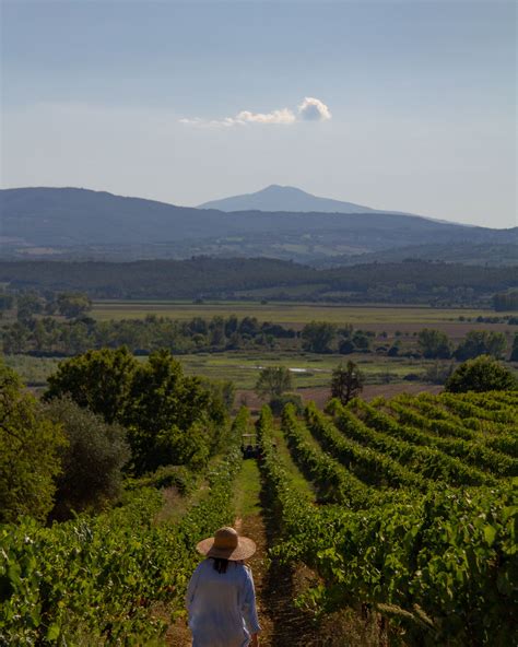 25 Terrific Things To Do In Tuscany Artofit