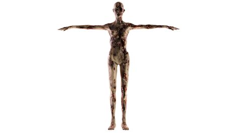 Zombie Female Nude High Quality D Model Low Price Low Poly D Model TurboSquid