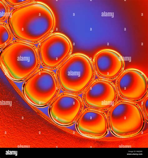 Colorful Soap Bubbles Stock Photo Alamy