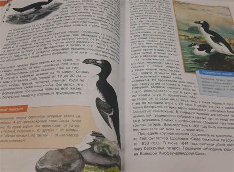 Книга: Красная книга мира. Черные и белые страницы - Молюков, Смирнов ...