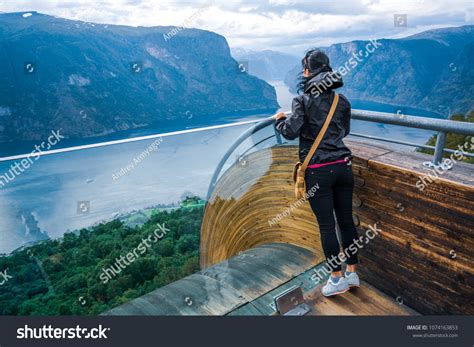 observation deck view images stock  vectors shutterstock