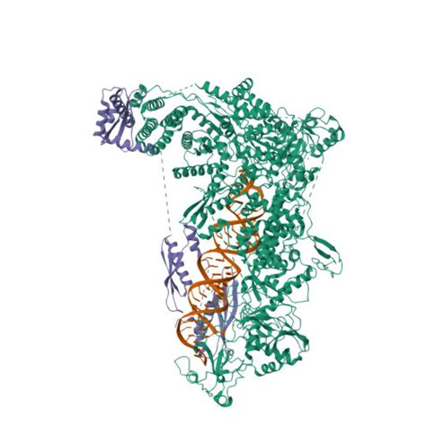 RCSB PDB - 8DFV: Structural Basis of MicroRNA Biogenesis by Dicer-1 and ...
