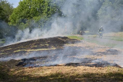 Krefeld Feuerwehr bekämpft Flächenbrand am Elfrather See