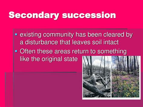 Creative Community Ecology - ppt download