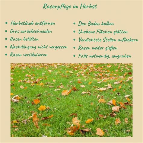 Rasenpflege Im Herbst Tipps F R Einen Gesunden Rasen