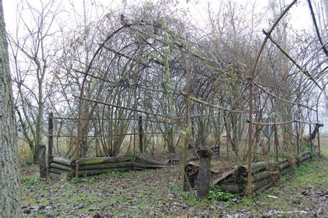 Galleries Naked Galleries Photography By Francesca Tamagnini Saatchi Art