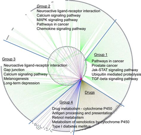 Functional Analysis Of Proteins In Clozapine Target Interactome