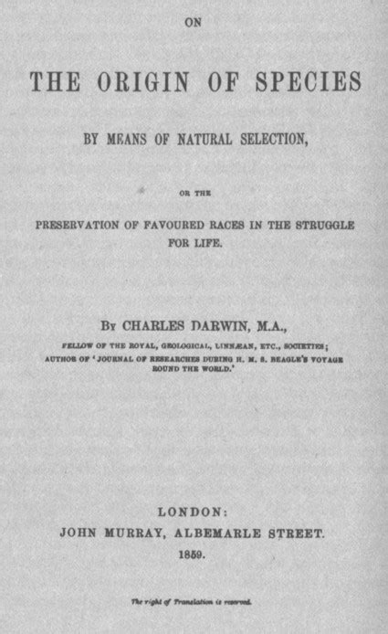 Редкое и благородное спокойствие, Книги открывающие мир, рассказы про ...