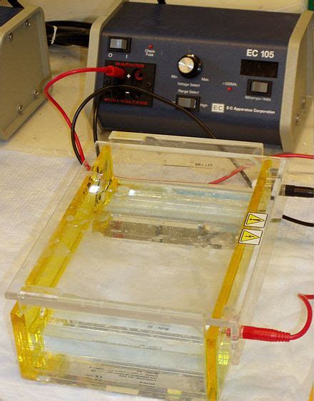Elektroforéza – Wikipedie