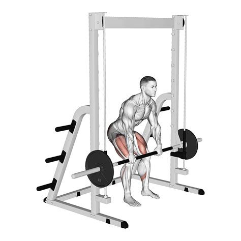 5 Best Smith Machine Back Exercises With Pictures Inspire US