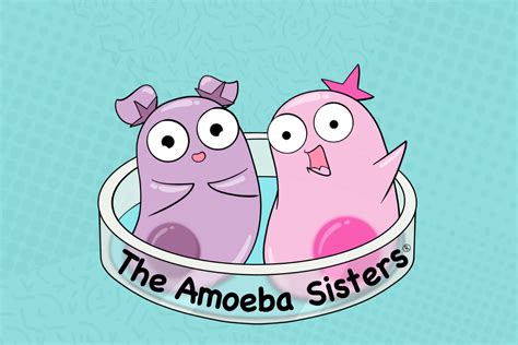 Teaching Science The Fun Way With The Amoeba Sisters