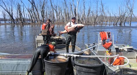 Tracking Invasive Carp