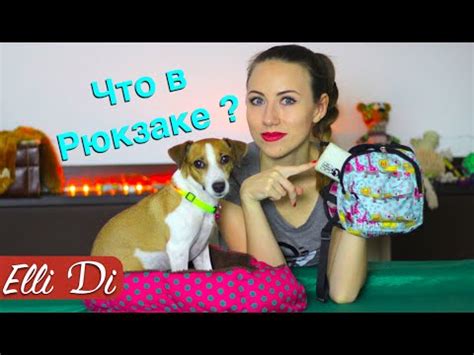 ЧТО В РЮКЗАКЕ МОЕЙ СОБАКИ | ПОКУПКИ ИЗ ЗООМАГАЗИНА | Elli Di - YouTube