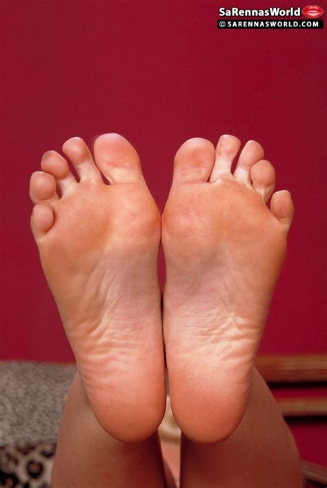 Big Boob Bundle Performed By Sarenna Lee Hot Porn Pics Coedcherry