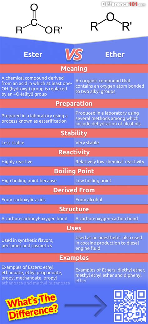 Ether Vs Ester Key Differences Definition Examples Difference