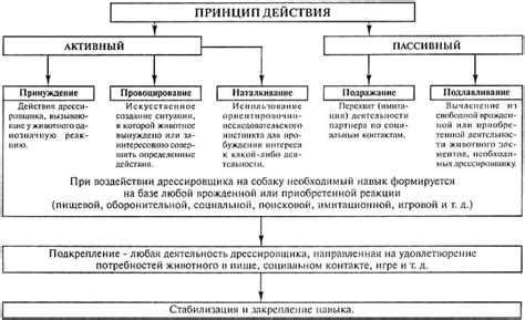ЧАСТЬ I ТЕОРЕТИЧЕСКИЕ И МЕТОДОЛОГИЧЕСКИЕ ОСНОВЫ СЛУЖЕБНОЙ КИНОЛОГИИ ...