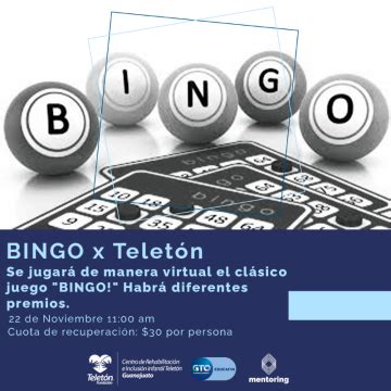 Bingo X Teleton Boteo Digital Telet N