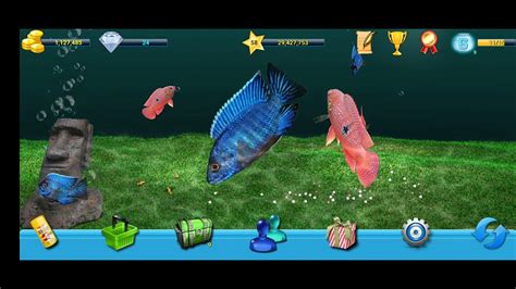 AquaLife 3D - YouTube