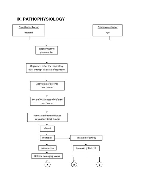 Community Acquired Pneumonia Pathophysiology Schematic Diagr