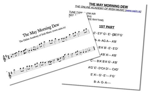 Learn How To Play The Low Whistle in the Irish Tradition