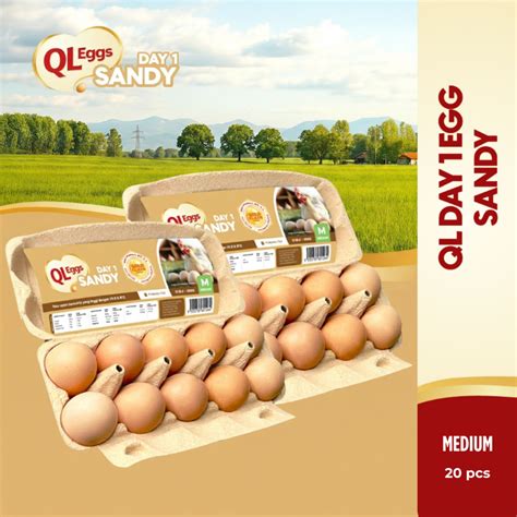 ql eggs  shop shopee malaysia