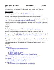 Homework Of Bikini Bottom Genetics Answer Key Pdf HO HE HO HE HO HE HO HO HO All Of The