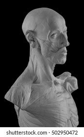 Plaster Statue Naked Man Anatomically Shaped Stock Photo