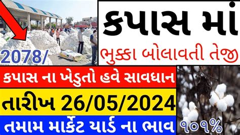 Kapas na bhav 26 05 2024 કપસન ભવ 2024 Information about Cotton