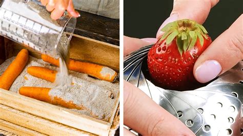 Genius Food Hacks And Kitchen Gadgets To Save Your Time Youtube