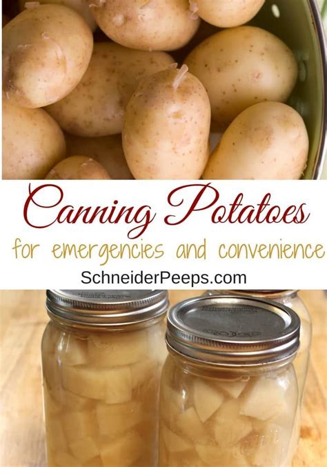 Canning Potatoes For Emergencies And Convenience Plus How To Use