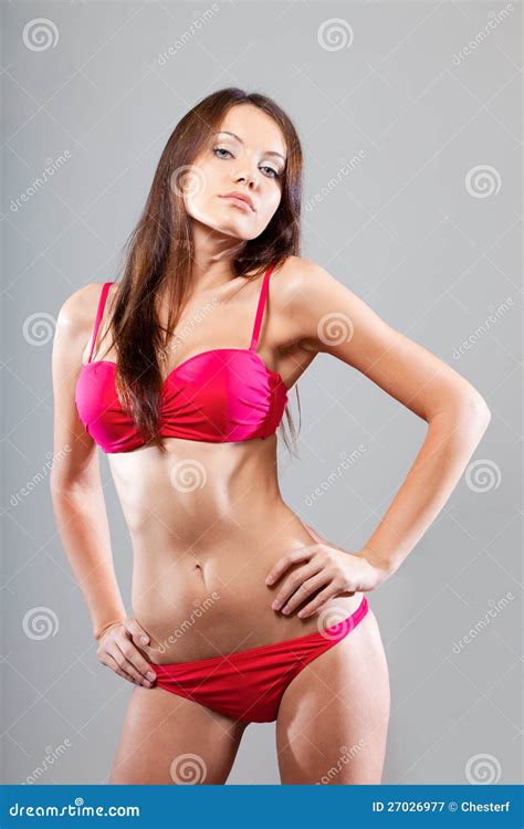 Femme Dans La Pose De Bikini Image Stock Image Du Gris Fuselage 27026977