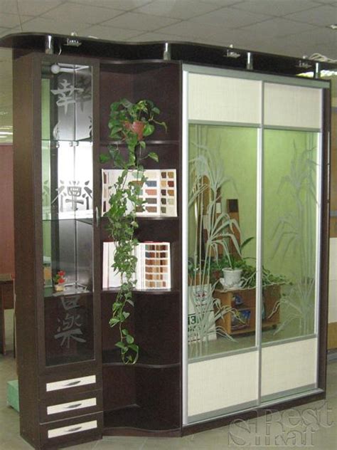 Красивые рисунки на шкафах купе - разновидности и фотографии