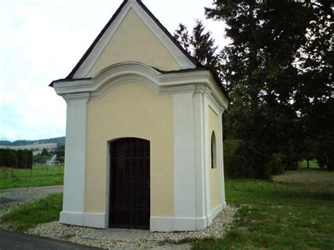 Libina - Živéobce.cz