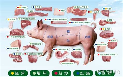 五花肉是猪的哪一块，跟里脊肉比价格怎么样？ 知乎