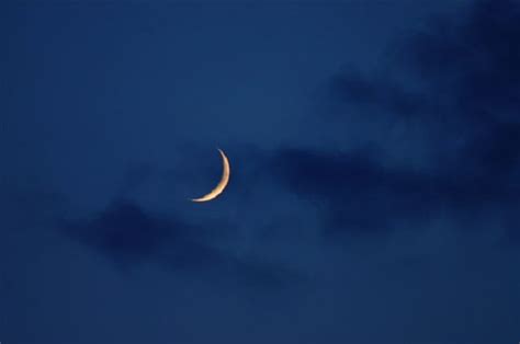 Eid-ul-Adha 2023 Date Revealed: PMD Predicts Moon Sighting