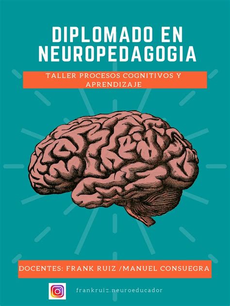 Taller Procesos Cognitivos Pdf Aprendizaje Sicología