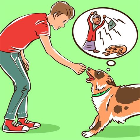 Why Dogs Bark At Some People But Not At Others Bright Side