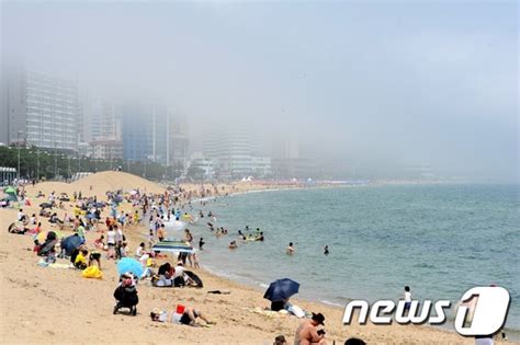 해운대해수욕장서 40대 숨진 채 발견 네이트 뉴스