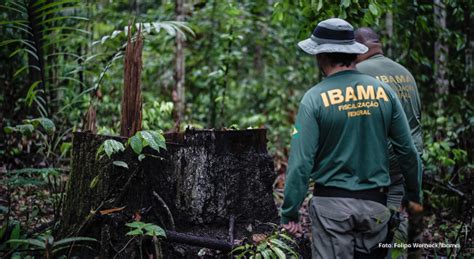 Aniversário de 33 anos do Ibama Vagão Sustentável