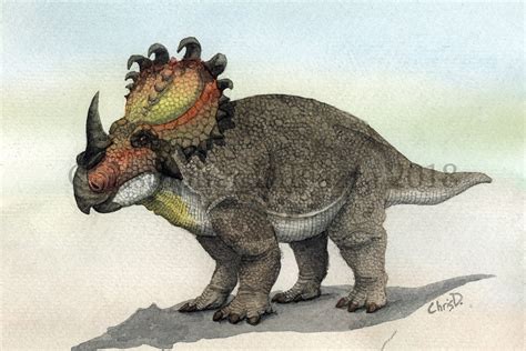 prehistoric beast   week sinoceratops beast   week