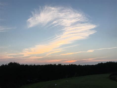 Best Pof Images On Pholder Guildwars Gun Porn And Awfuleyebrows