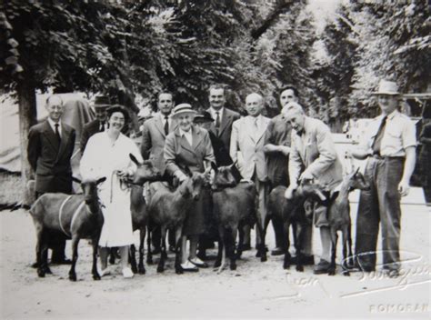 Expositions Et Concours Caprins Histoire De Lagriculture