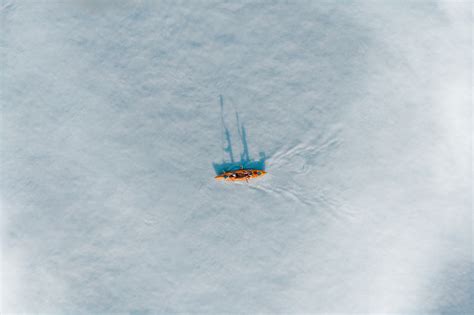 LeeCooper 2020 on Behance