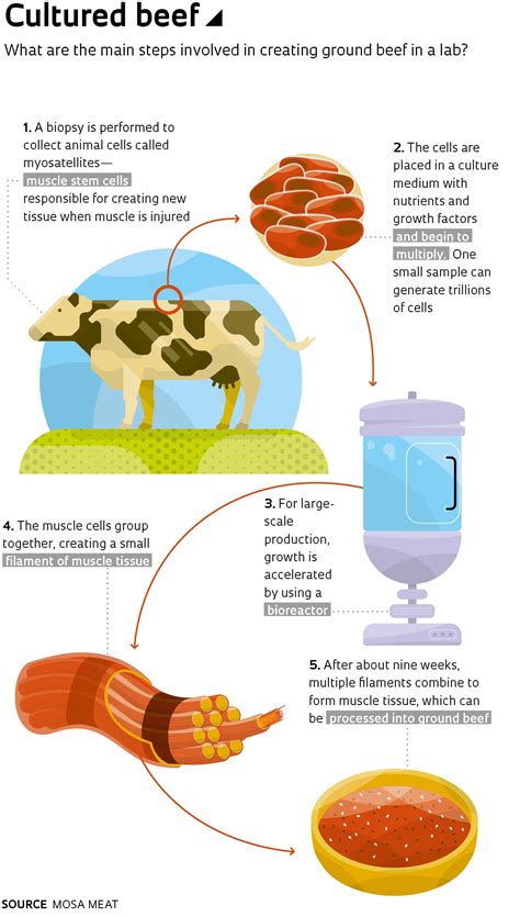 Lab-grown meat could be the next evolution for standard mre's food 1