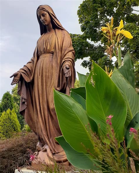 When Does A Novena Start After Death