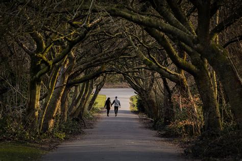 Sunset at Heaton Park | Property, Cityscape, and Architecture Photography